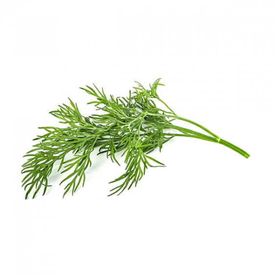   Click And Grow Dill 3 .    Click And Grow 