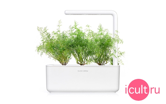 Click And Grow Dill
