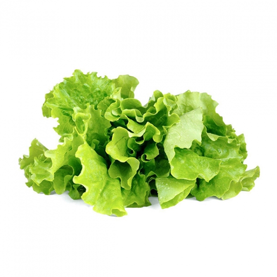   Click And Grow Green Lettuce Plant Pods 3 .    Click And Grow  