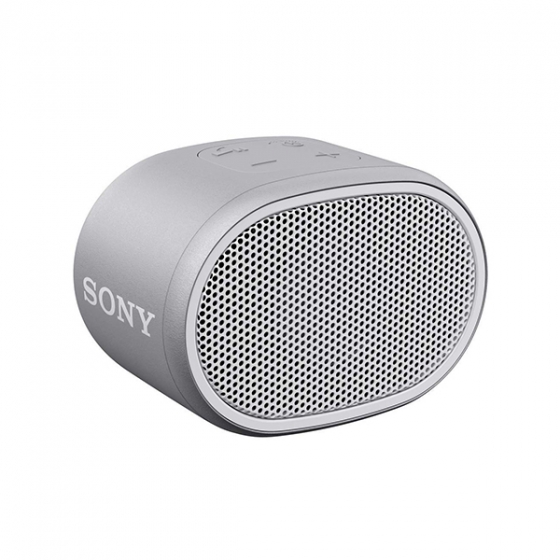   Sony SRS-XB01 Gray 