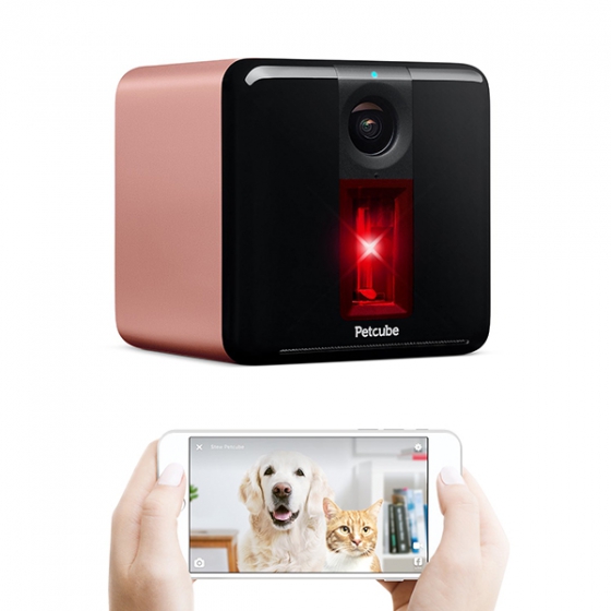 Wi-Fi камера наблюдения с лазером Petcube Play Smart Pet Camera with Interactive Laser Toy Matte Rose Gold розовое золото PP211NV5L