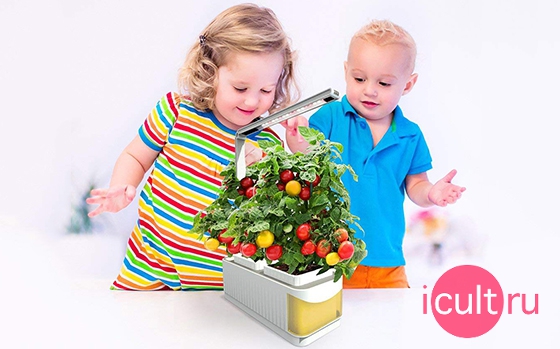 Finether Hydroponic Growing System Kit Blue