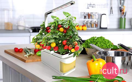   Finether Hydroponic Growing System Kit