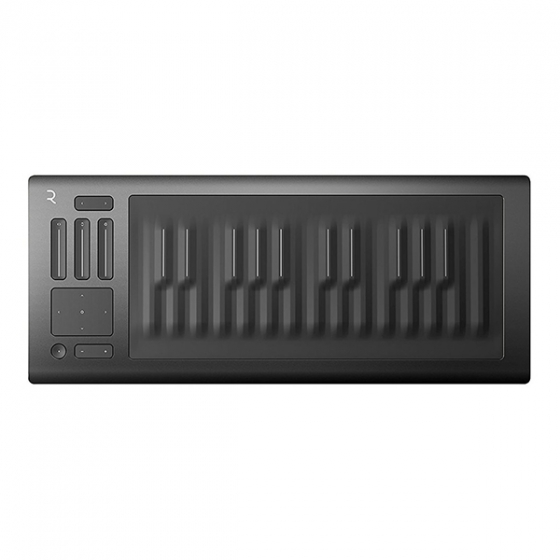 Беспроводная MIDI-клавиатура Roli Seaboard RISE 25 для ПК/Mac черная ROL-000632