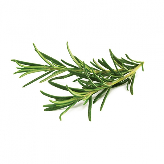   Click And Grow Rosemary 3 .    Click And Grow 