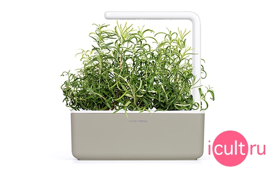 Click And Grow Rosemary