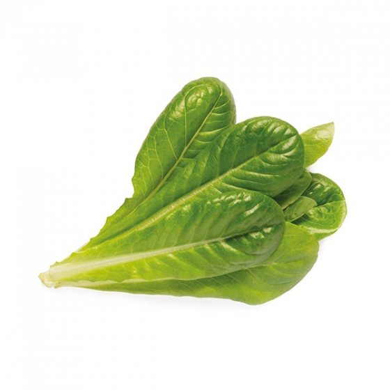   Click And Grow Romaine Lettuce 3 .    Click And Grow  