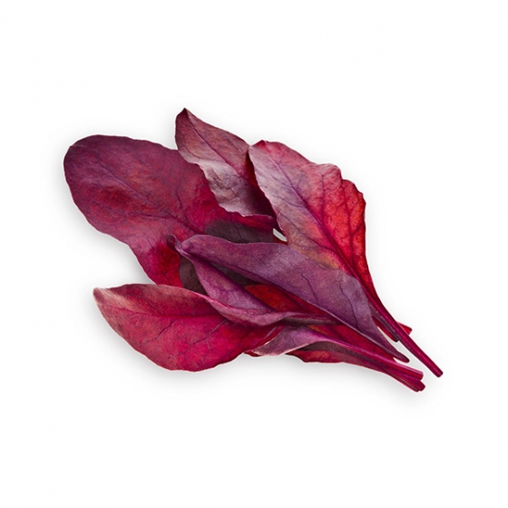   Click And Grow Red Chard Plant Pods 3 .    Click And Grow   