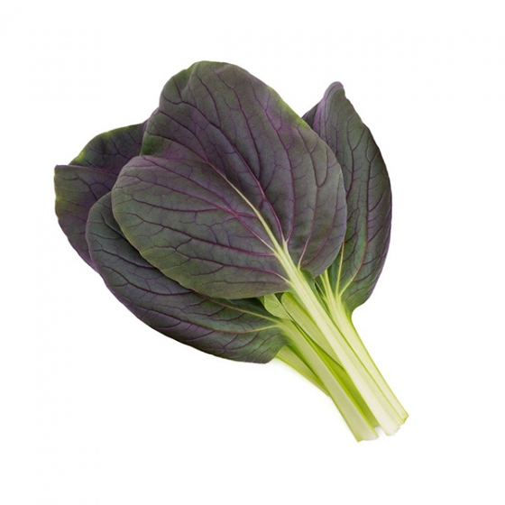  Click And Grow Red Bok Choi 3 .    Click And Grow   