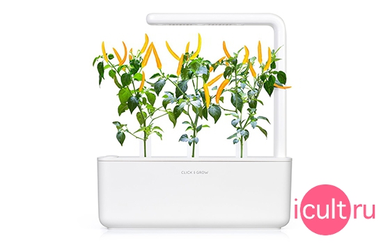 Click And Grow Yellow Chili Pepper