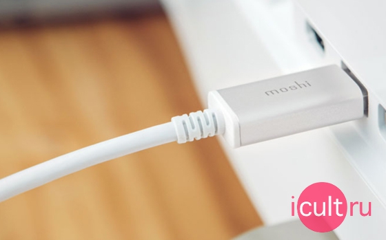 Moshi USB-C to DisplayPort Cable