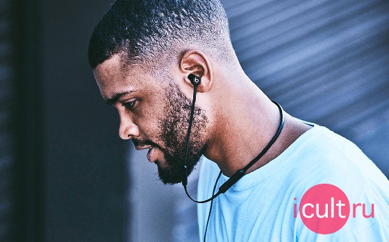 BeatsX Earphones Sky Blue