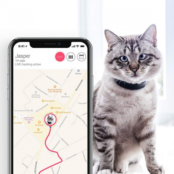 GPS-трекер Tractive GPS Cat Tracker для кошек черный TRCAT1