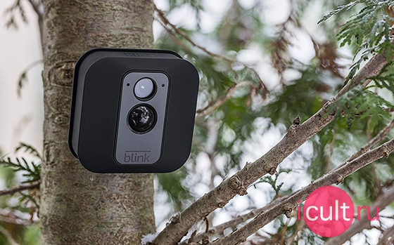  Blink XT Home Security Camera System