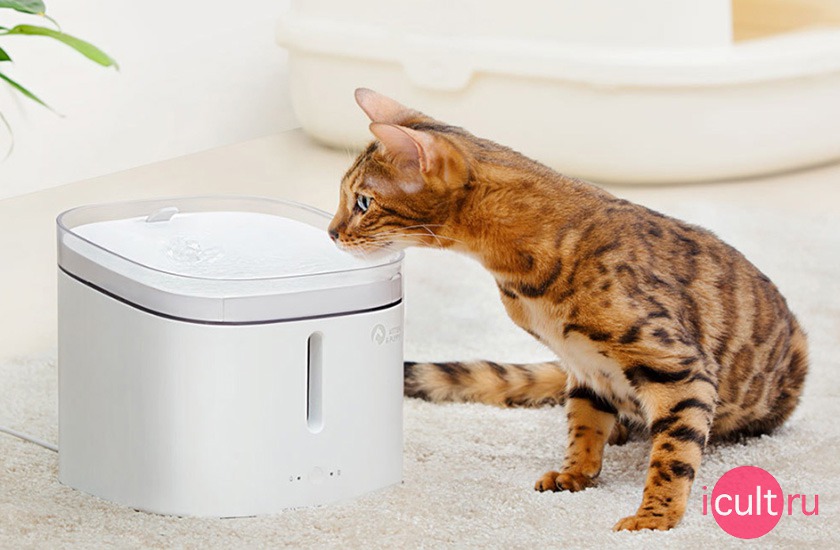 Xiaomi Kitten & Puppy Water Dispenser