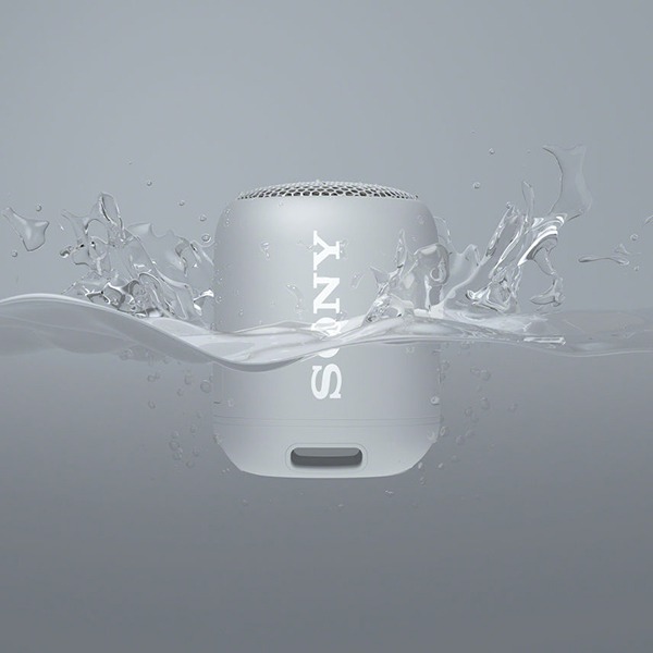    Sony SRS-XB12 Gray 