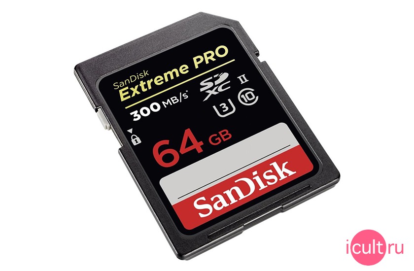 SanDisk SDSDXPK-064G-GN4IN