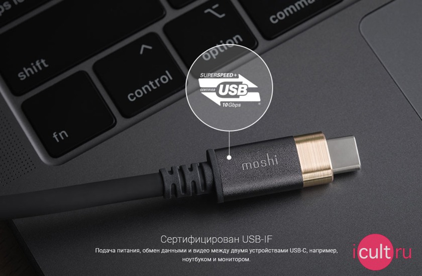 Moshi USB-C to USB-C Monitor Cable