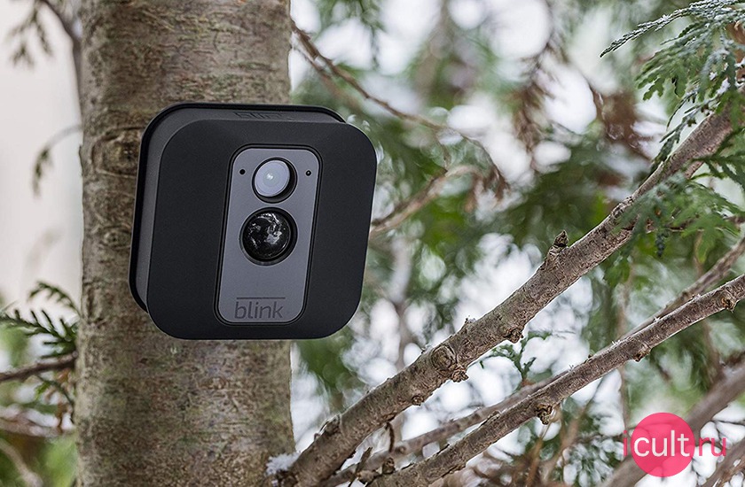 Blink XT2 Two Security Camera System