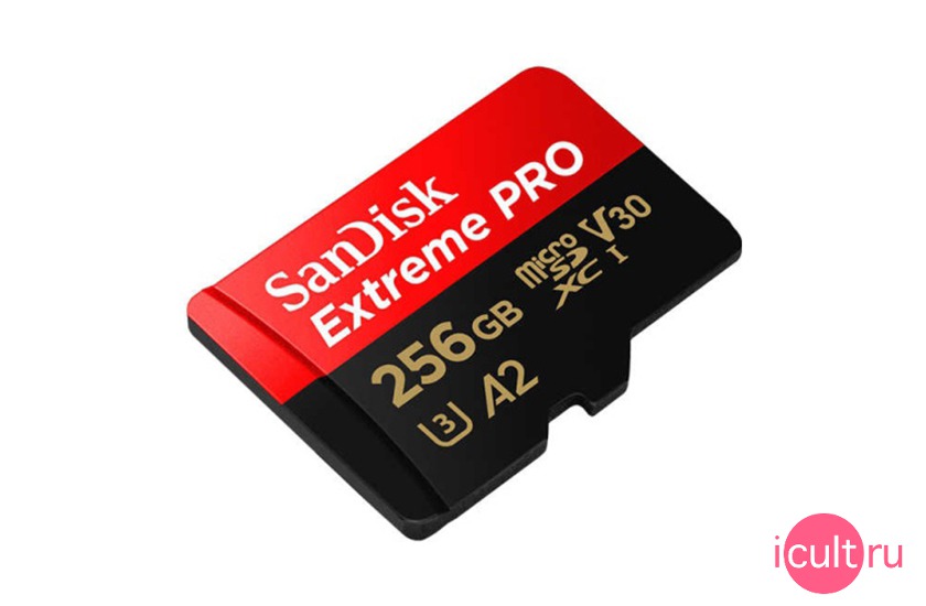 SanDisk SDSQXCZ-256G-GN6MA