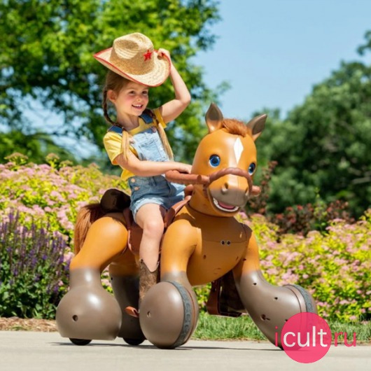 scout ride and play pony