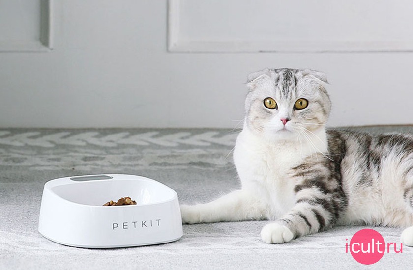  PetKit Smart Smart Weighing Bowl