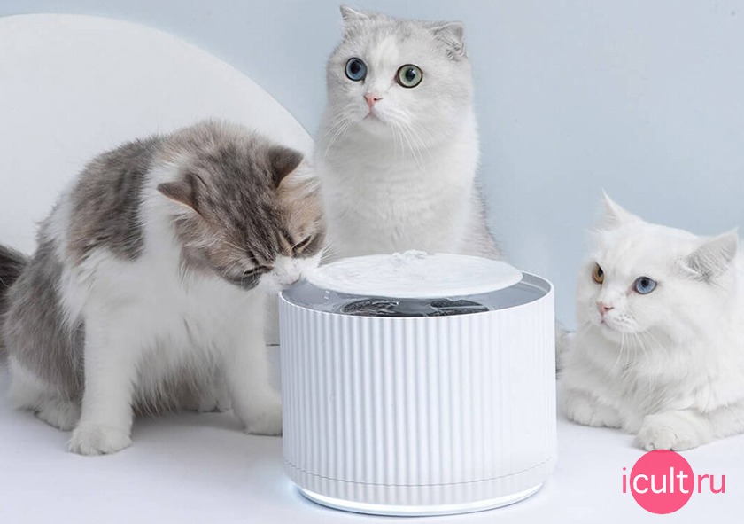 Xiaomi Mijia Smart Cat Dispenser