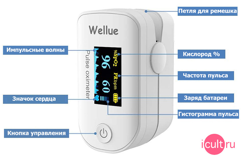 Wellue FS20F Bluetooth Finger Oximeter