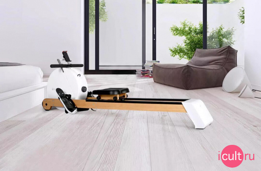 Xiaomi Xiao Mo Magnetically Controlled Smart Rowing Machine Hush