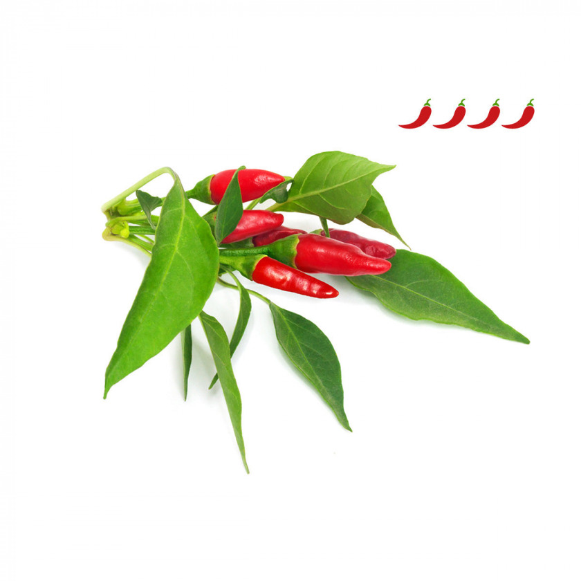Комплект картриджей Click And Grow Piri Piri Chili Pepper Plant Pods 3 шт. для умного сада Click And Grow Пири Пири Чили