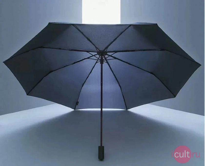 Xiaomi Mijia Automatic Umbrella